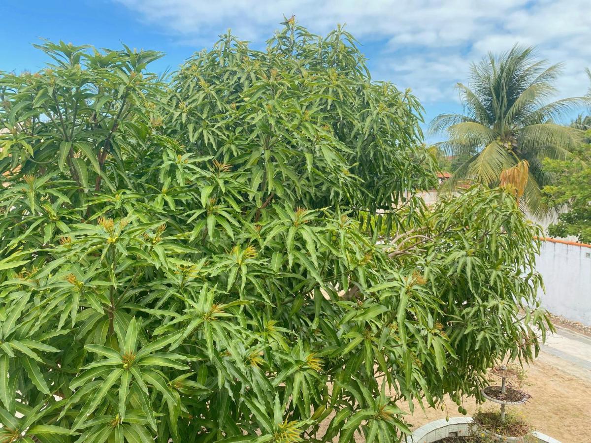 Sol, Mar E Privacidade Villa Aracaju Exteriör bild